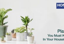 9 Plants You Must Keep In Your Household honer homes, honer signatis, honer apartments, honer aquantis, honer kukatpally