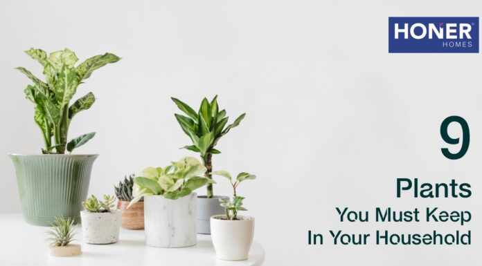 9 Plants You Must Keep In Your Household honer homes, honer signatis, honer apartments, honer aquantis, honer kukatpally